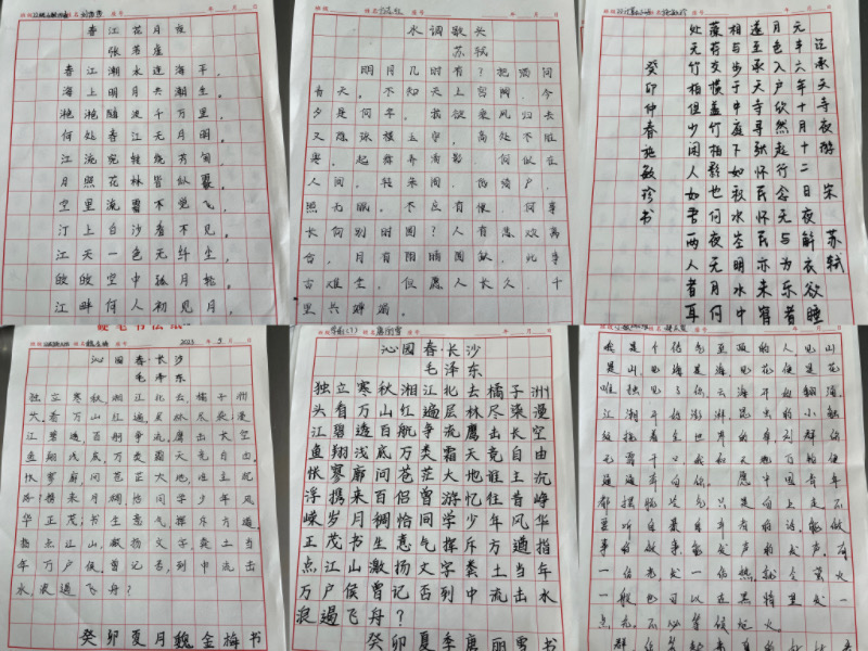 照片1.JPG