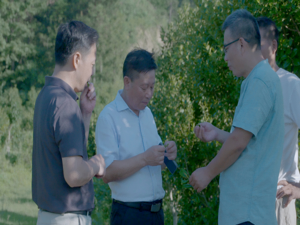 1722568083774328.png 图片1(1).png